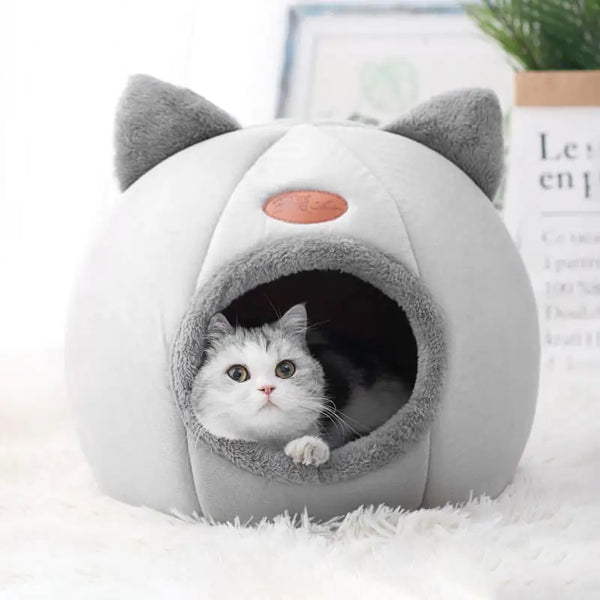 Cat Bed